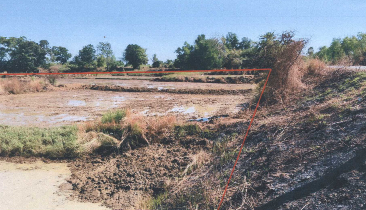 ที่ดินเปล่า มหาสารคาม โกสุมพิสัย หนองบอน 1702540