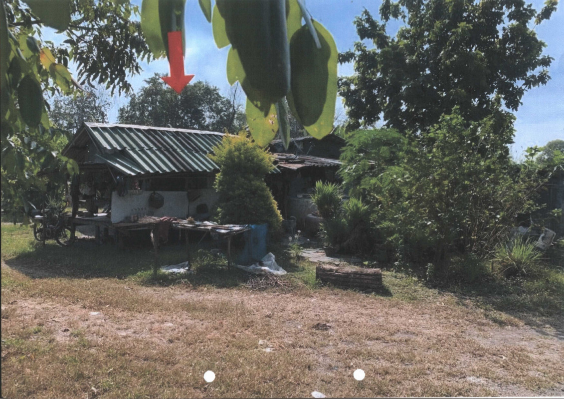 บ้านเดี่ยว สุพรรณบุรี อู่ทอง พลับพลาไชย 223740