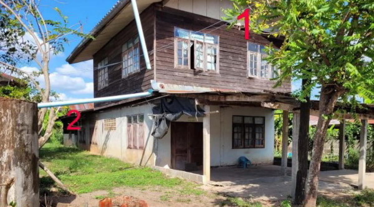 บ้านเดี่ยว ยโสธร เลิงนกทา โคกสำราญ 814060