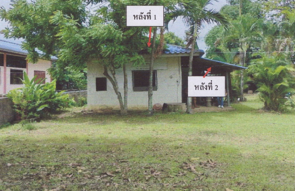 บ้านเดี่ยว เชียงราย แม่สาย เกาะช้าง 704150