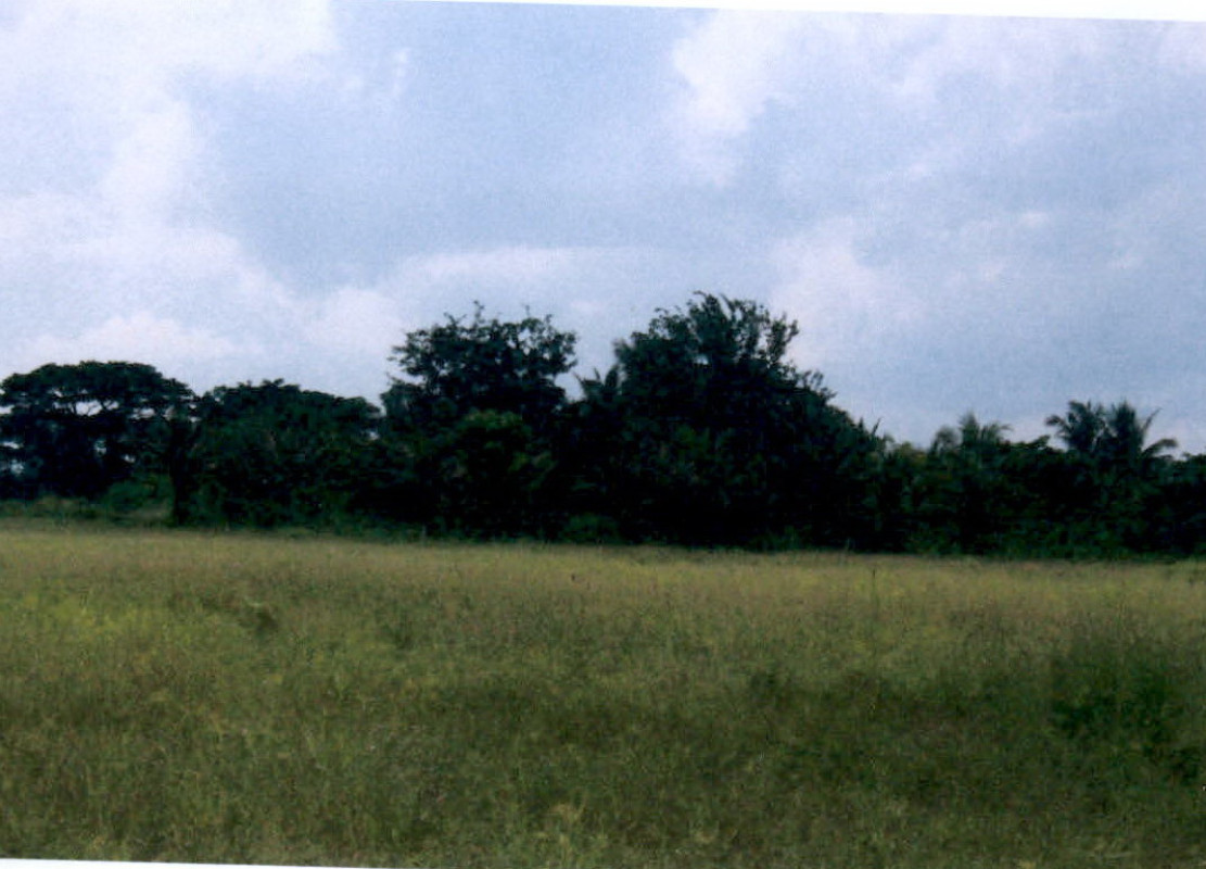 ที่ดินเปล่า ประจวบคีรีขันธ์ เมืองประจวบคีรีขันธ์ บ่อนอก 509400