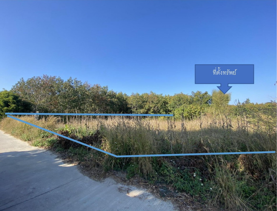 Residential land/lot Phayao Pong Ngim 103620