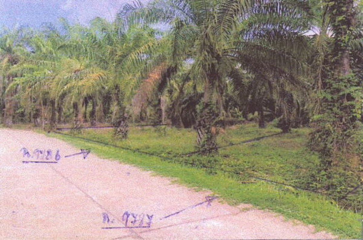 ที่ดินเปล่า กระบี่ ลำทับ ดินอุดม 72586