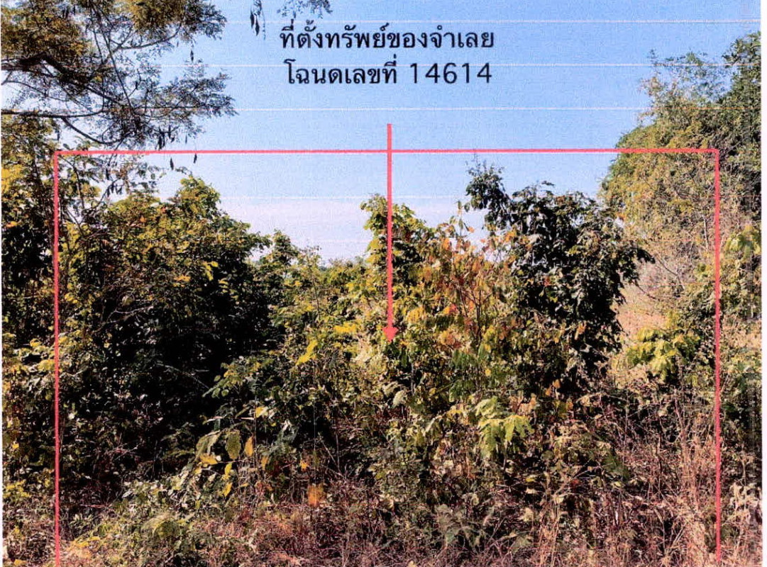 Residential land/lot Si Sa Ket Kanthararom Tham 87568