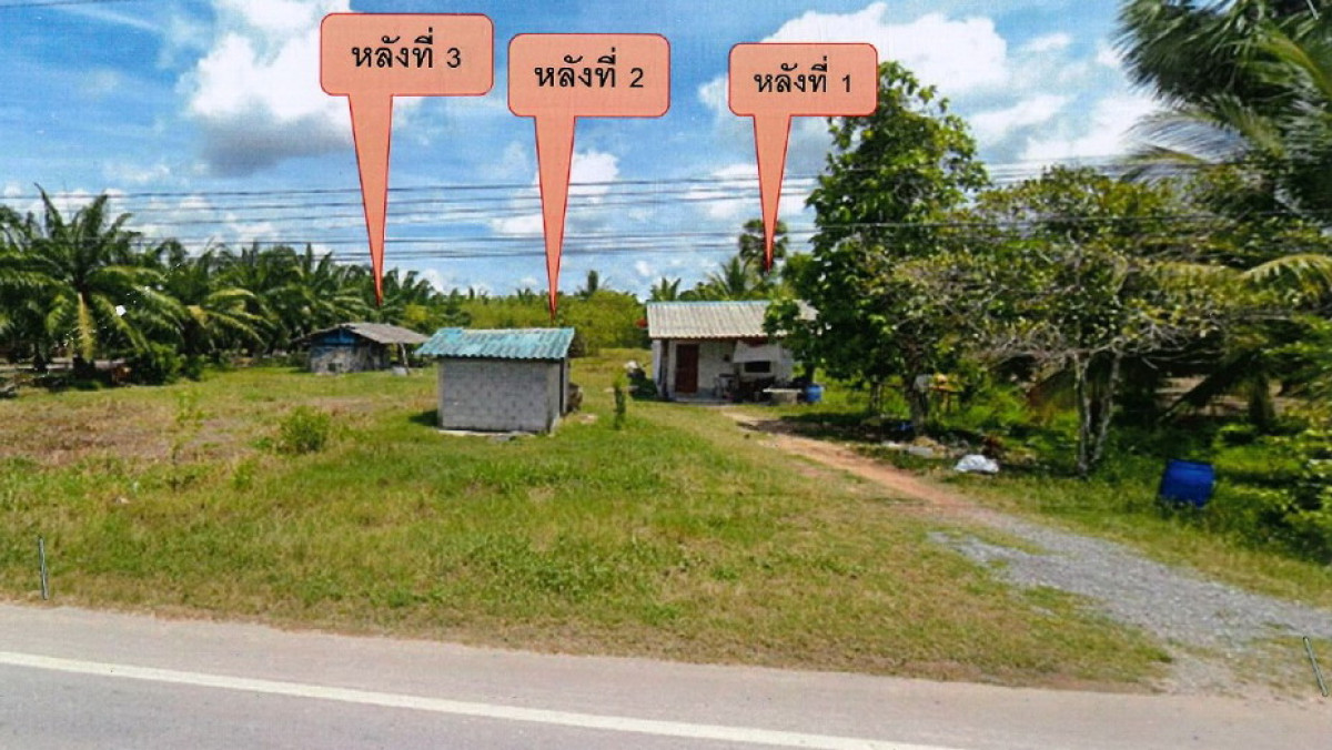 บ้านเดี่ยว นครศรีธรรมราช หัวไทร ทรายขาว 1129710