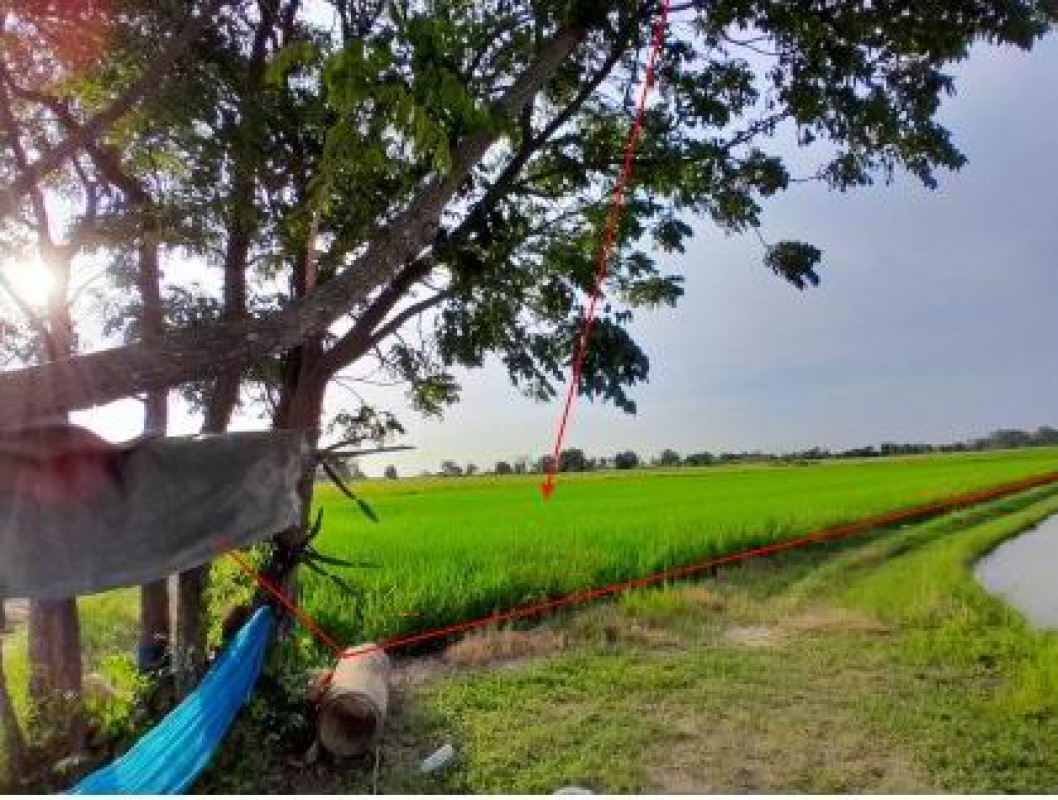 Residential land/lot Phitsanulok Mueang Phitsanulok Bueng Phra 2092500