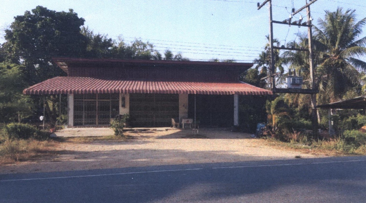 ทาวน์เฮ้าส์ พัทลุง ป่าบอน โคกทราย 1649820