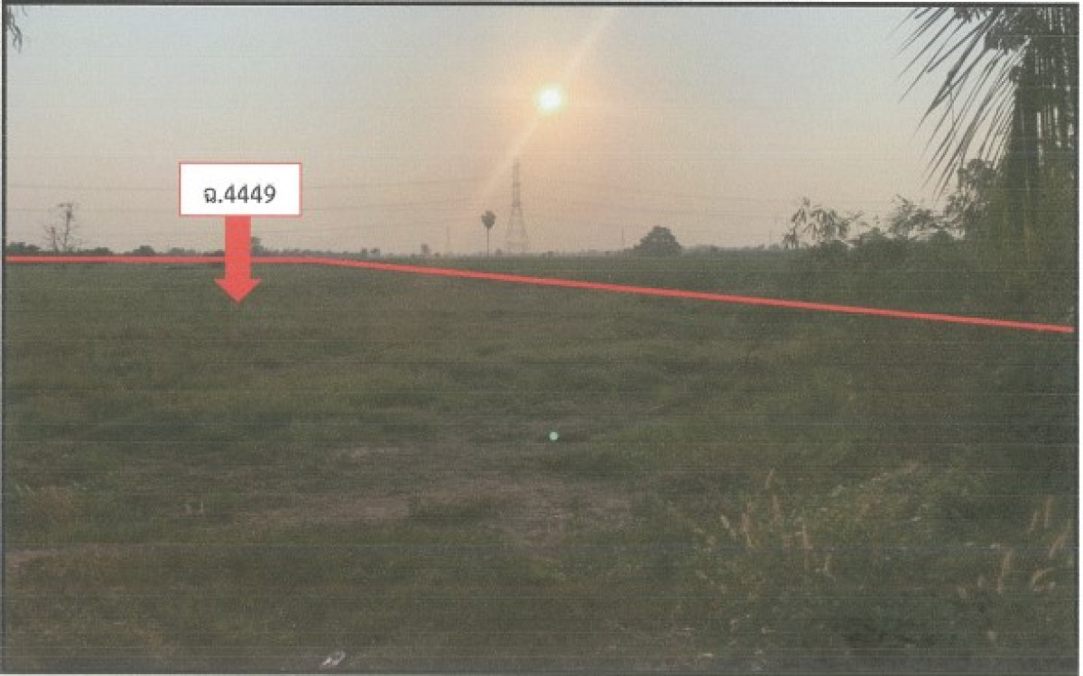 ที่ดินเปล่า พิษณุโลก วังทอง หนองพระ 3912888