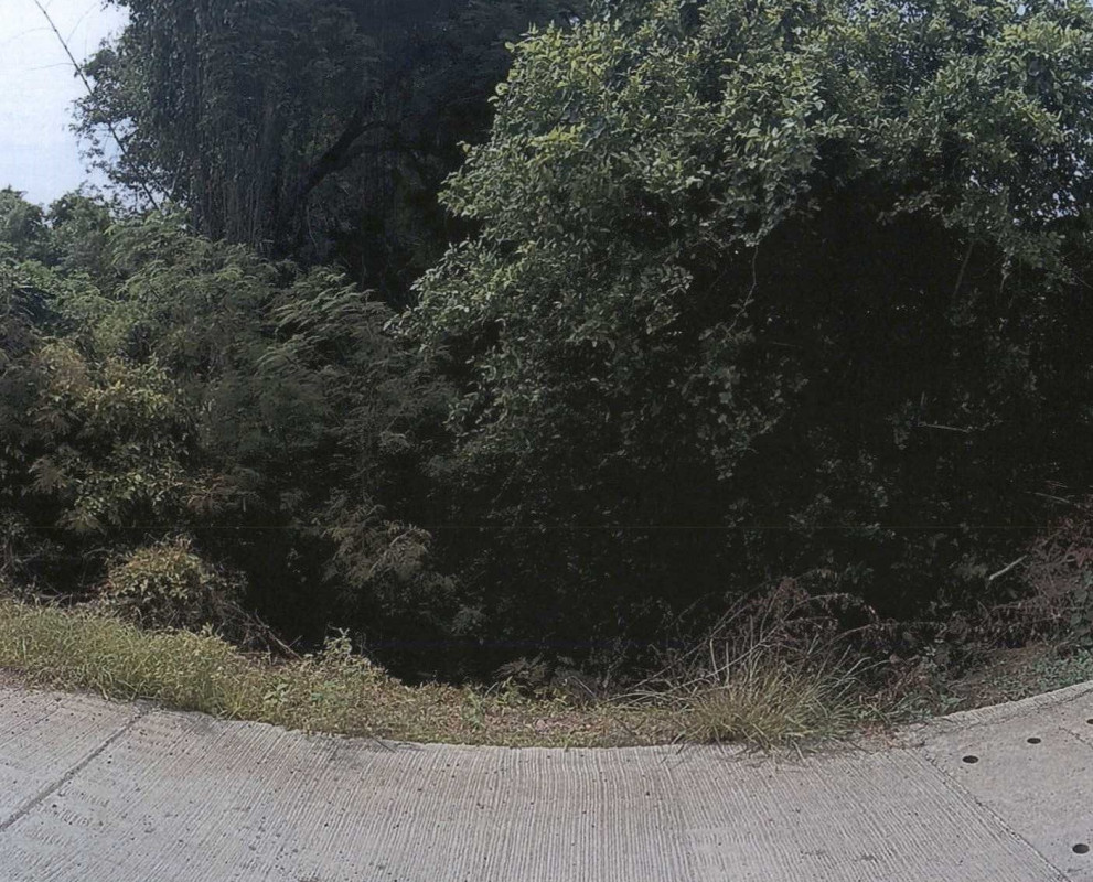 ที่ดินเปล่า สระบุรี ดอนพุด ดอนพุด 74970