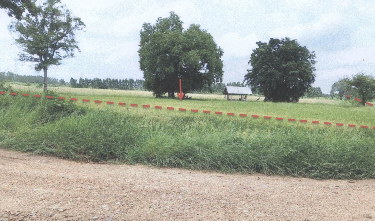 บ้านเดี่ยว พิจิตร บึงนาราง ห้วยแก้ว 683063