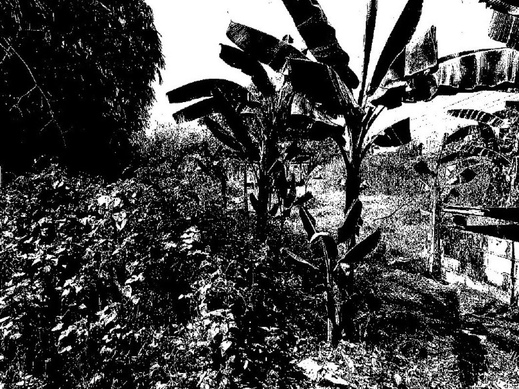 ที่ดินเปล่า นครปฐม เมืองนครปฐม สระกะเทียม 300000