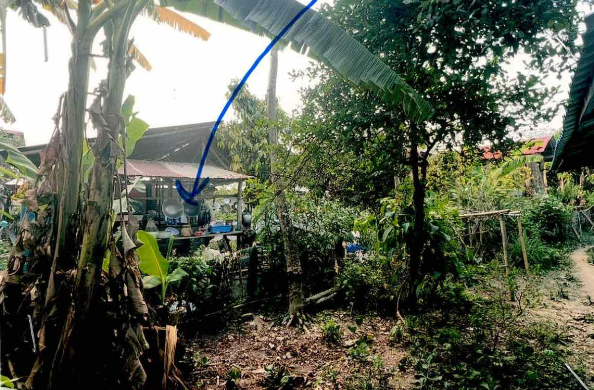 ที่ดินเปล่า น่าน สันติสุข ดู่พงษ์ 10178