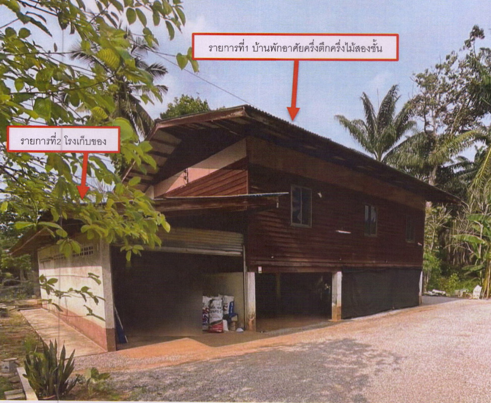 บ้านเดี่ยว สุราษฎร์ธานี พุนพิน ท่าโรงช้าง 980424