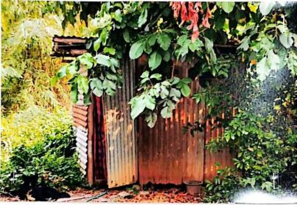 บ้านเดี่ยว พิษณุโลก วังทอง วังพิกุล 106535