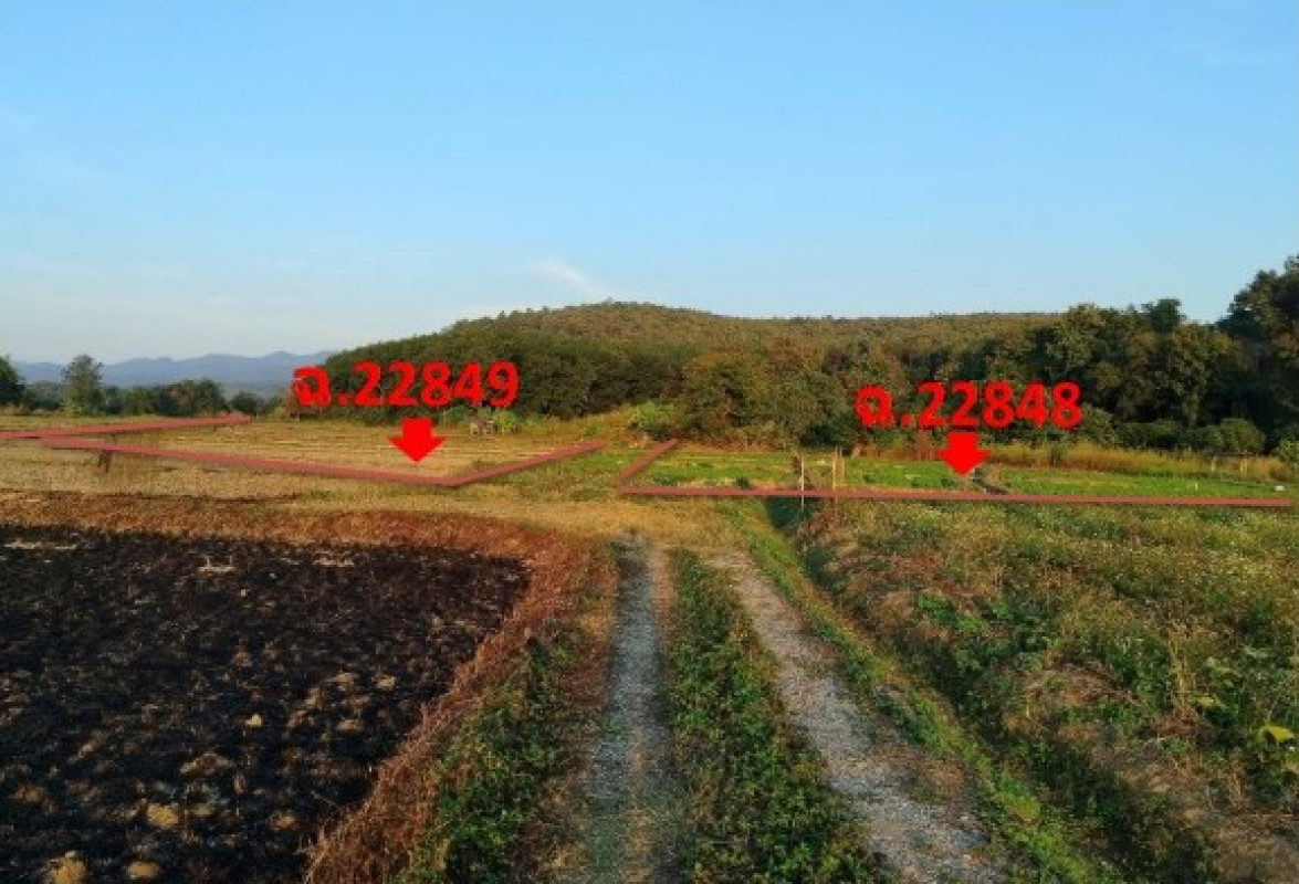 ที่ดินเปล่า พะเยา เชียงคำ ร่มเย็น 126350