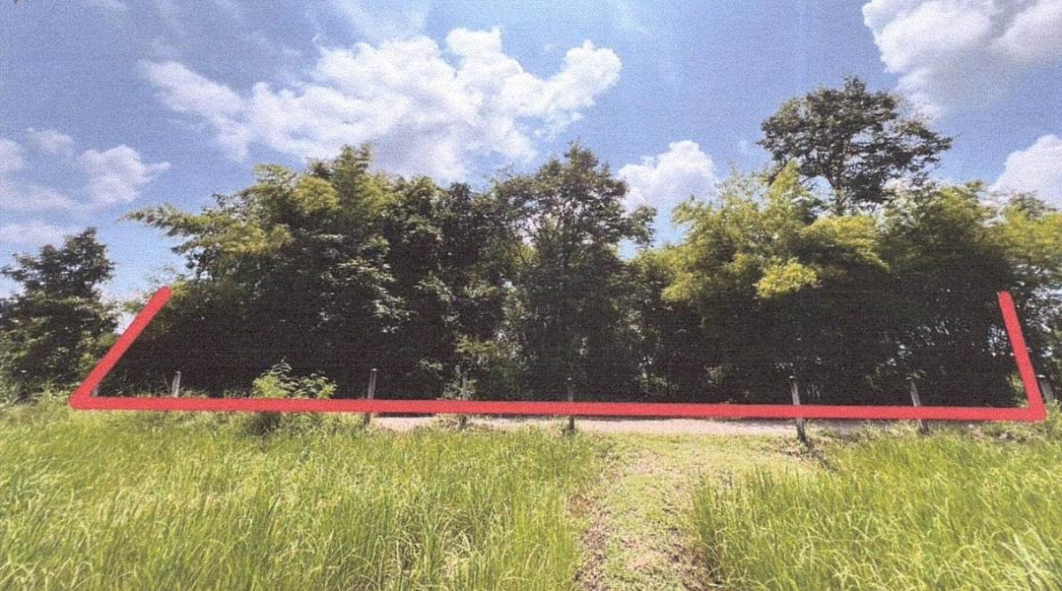 ที่ดินเปล่า ขอนแก่น ภูเวียง สงเปือย 306124