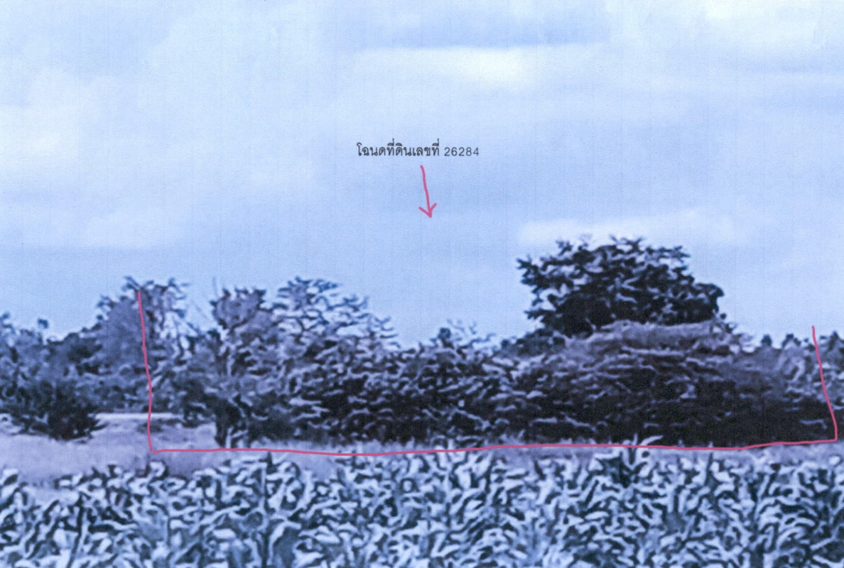 ที่ดินเปล่า เพชรบูรณ์ บึงสามพัน หนองแจง 400000