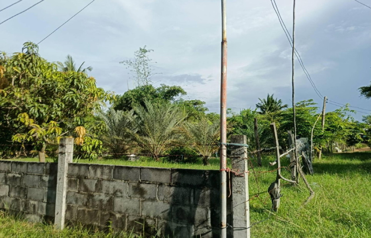 ที่ดินเปล่า มหาสารคาม บรบือ วังไชย 229320