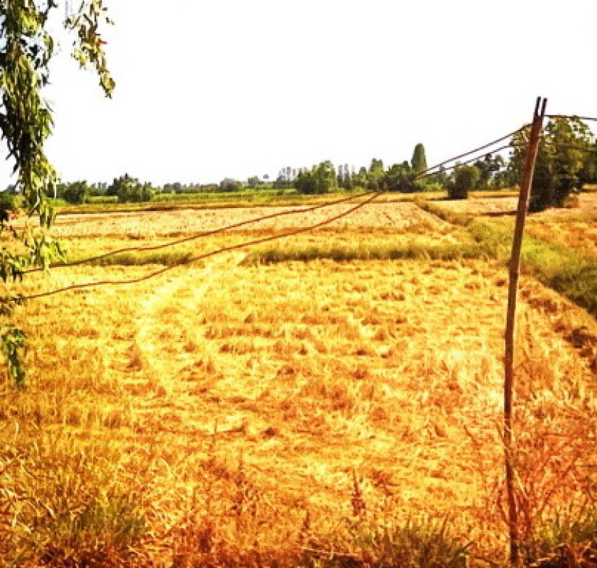 ที่ดินเปล่า กาฬสินธุ์ หนองกุงศรี หนองสรวง 916000