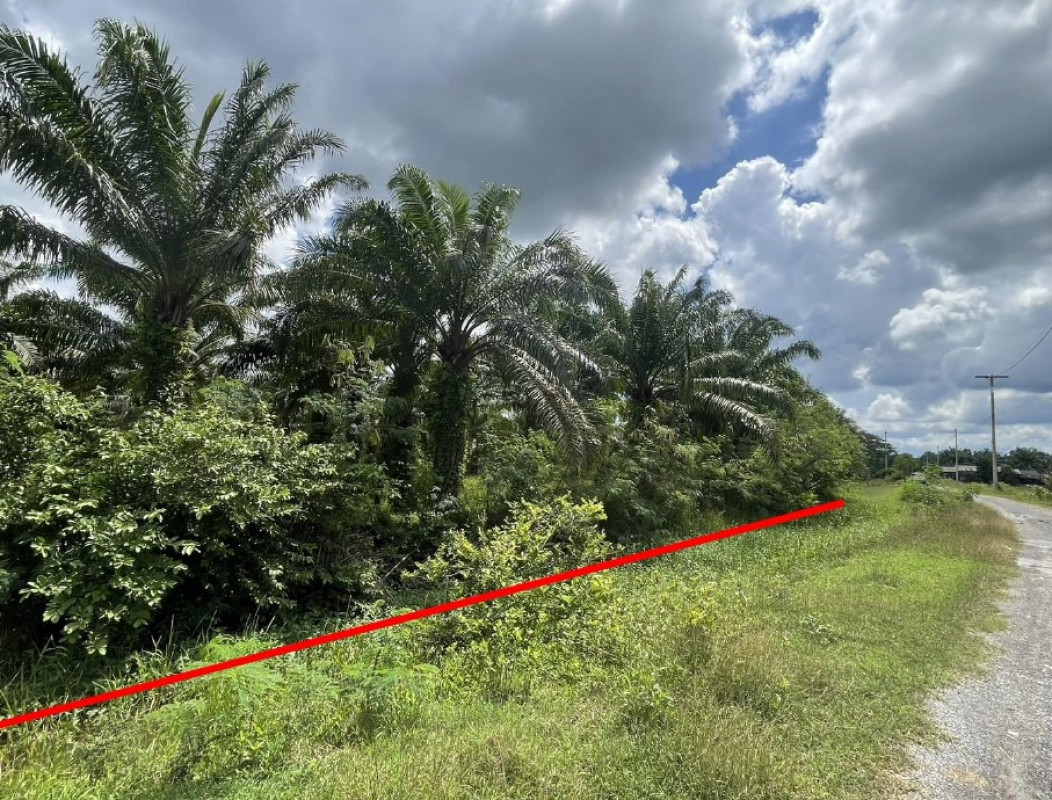 Residential land/lot Nakhon Si Thammarat Chian Yai Thong Lamchiak 326400