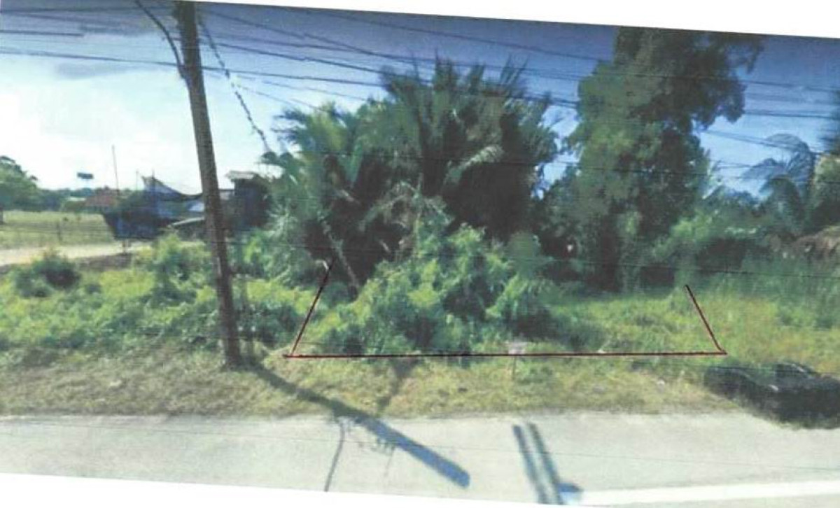 ที่ดินเปล่า นราธิวาส ระแงะ ตันหยงลิมอ 9940