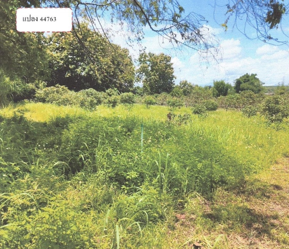 ที่ดินเปล่า พะเยา เชียงคำ อ่างทอง 202500