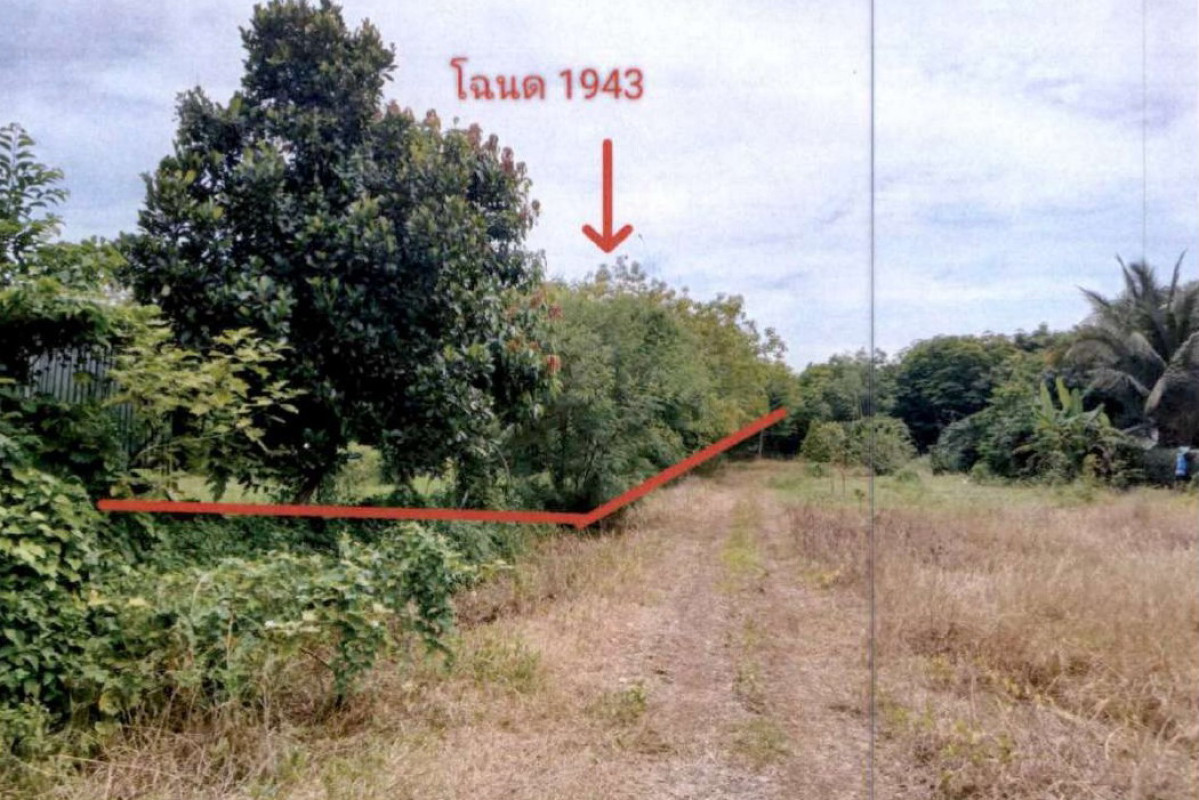 ที่ดินเปล่า บุรีรัมย์ บ้านกรวด จันทบเพชร 2202750