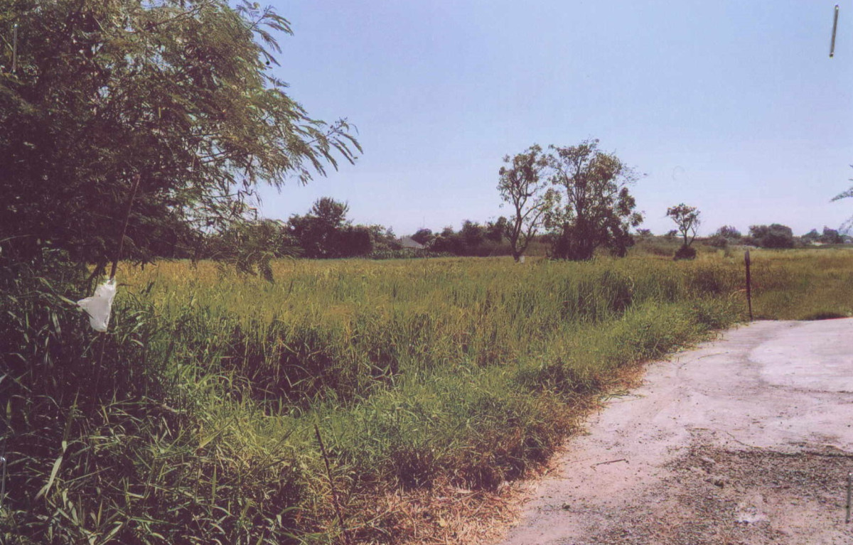 ที่ดินเปล่า สระบุรี เมืองสระบุรี ดาวเรือง 320000