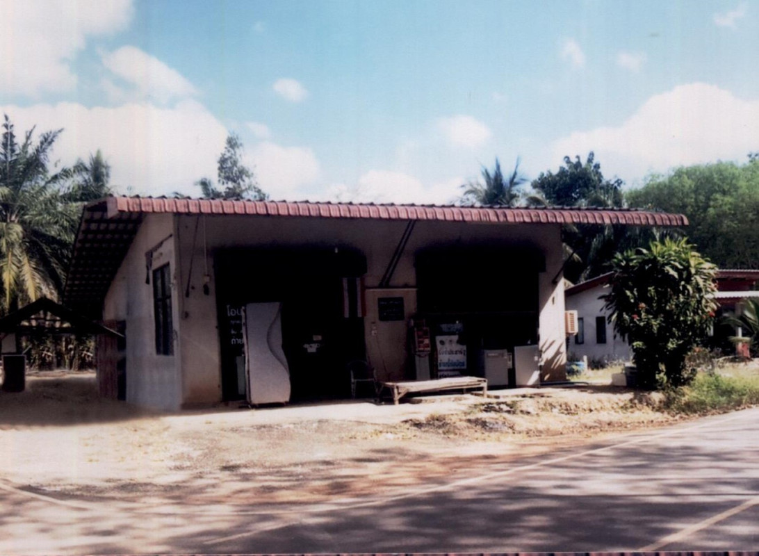 บ้านเดี่ยว สุราษฎร์ธานี ชัยบุรี ไทรทอง 682815