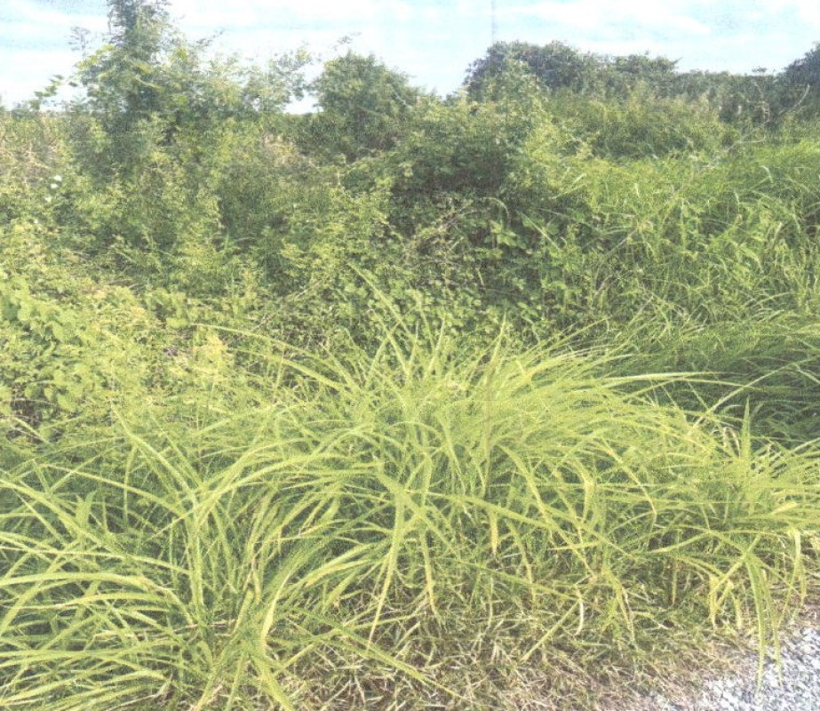 ที่ดินเปล่า สุพรรณบุรี เมืองสุพรรณบุรี ตลิ่งชัน 36000