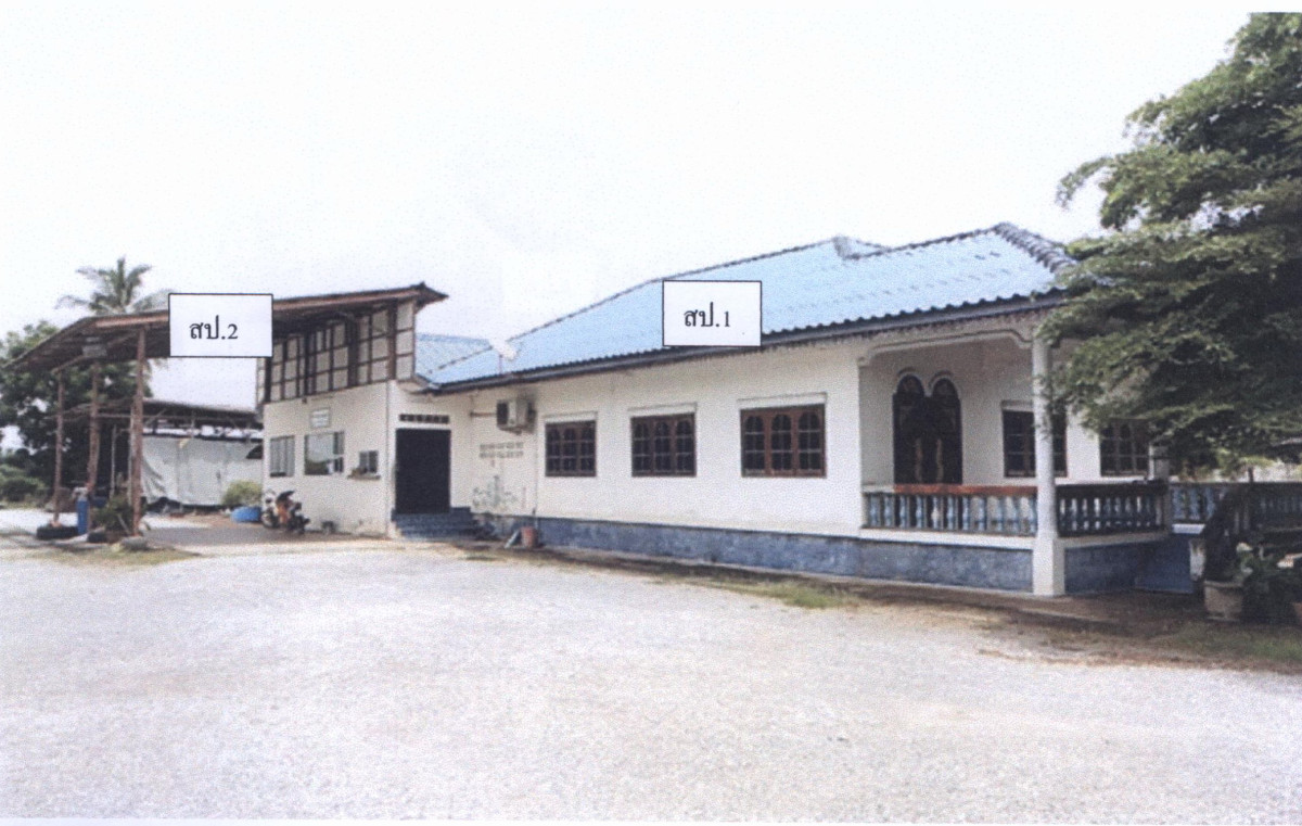 บ้านเดี่ยว พิษณุโลก พรหมพิราม ท่าช้าง 2541418