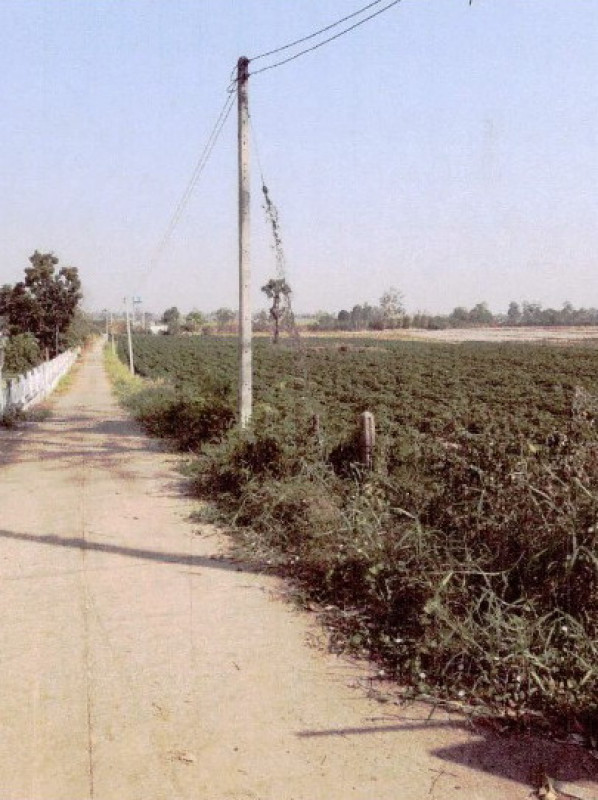 ที่ดินเปล่า อุดรธานี โนนสะอาด บุ่งแก้ว 430625