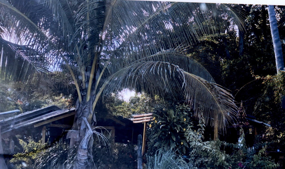 บ้านเดี่ยว ประจวบคีรีขันธ์ เมืองประจวบคีรีขันธ์ ห้วยทราย 723980