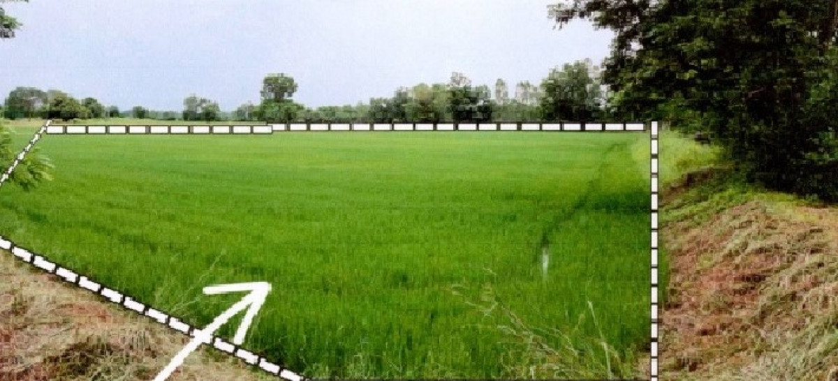 ที่ดินเปล่า อุทัยธานี ทัพทัน หนองกระทุ่ม 210400