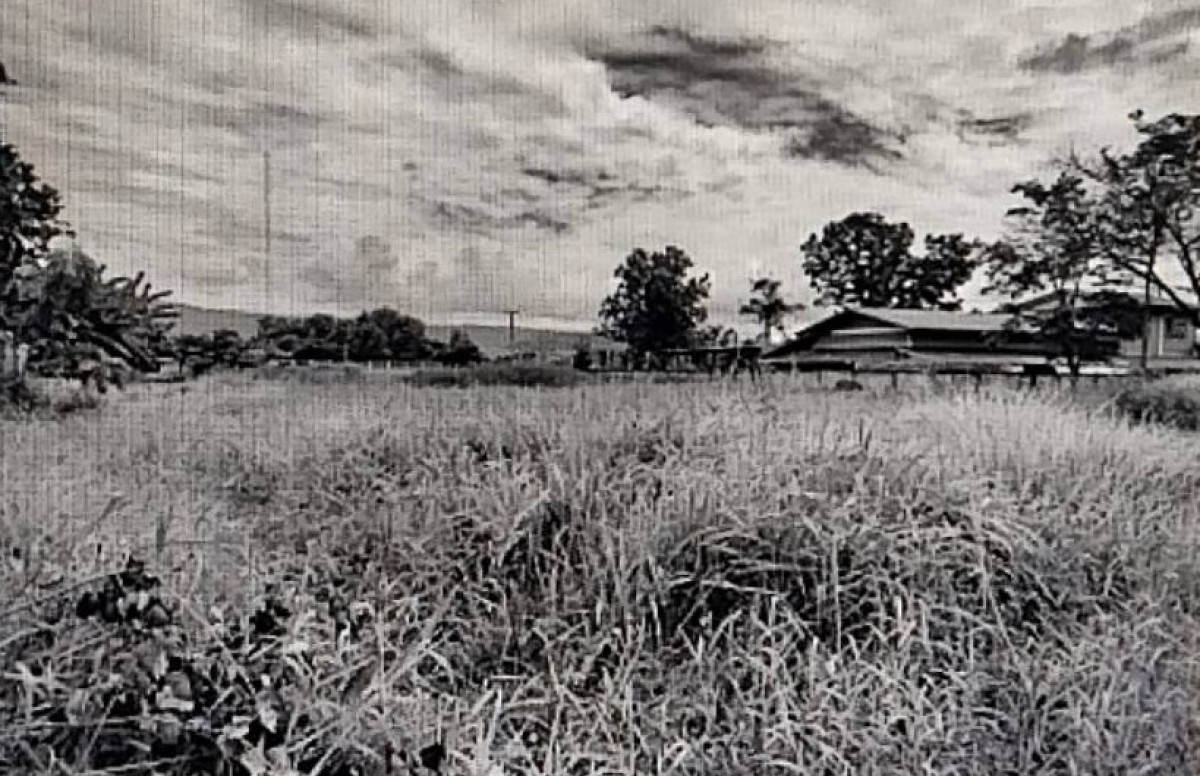 ที่ดินเปล่า ขอนแก่น สีชมพู วังเพิ่ม 615400