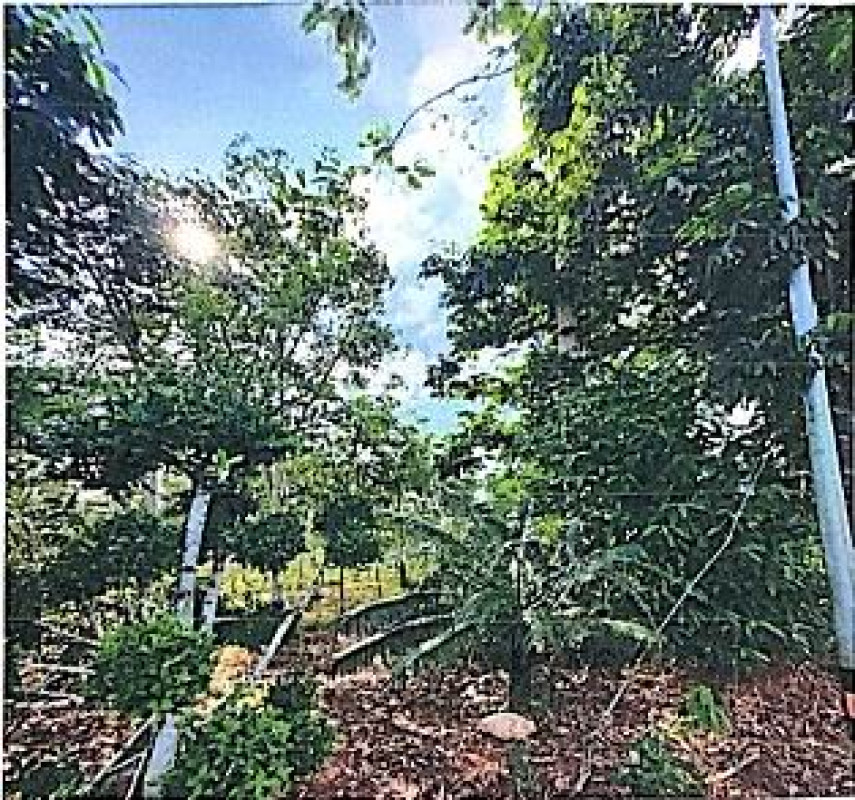 ที่ดินเปล่า ตรัง ย่านตาขาว ในควน 58500