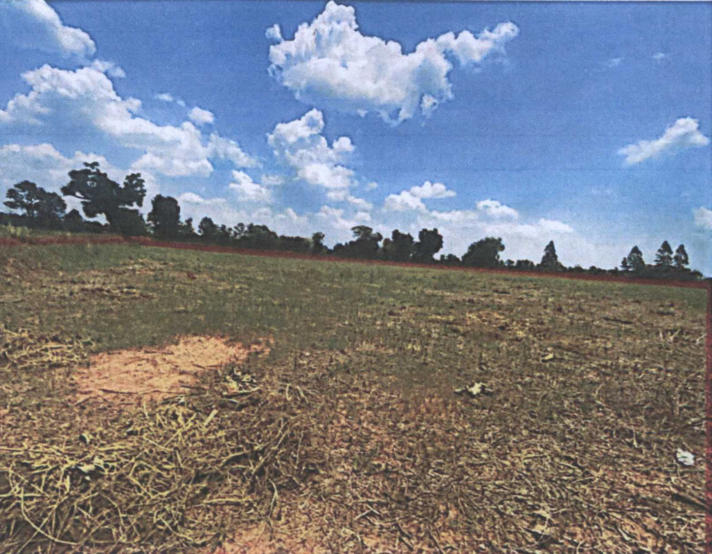 ที่ดินเปล่า มหาสารคาม วาปีปทุม งัวบา 183053