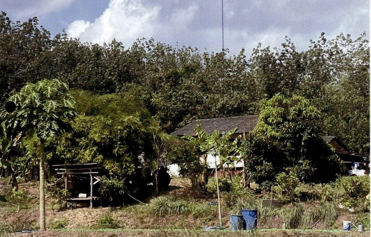 ที่ดินเปล่า เลย วังสะพุง เขาหลวง 801600