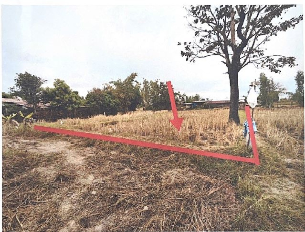 ที่ดินเปล่า อุดรธานี ทุ่งฝน ทุ่งฝน 57200