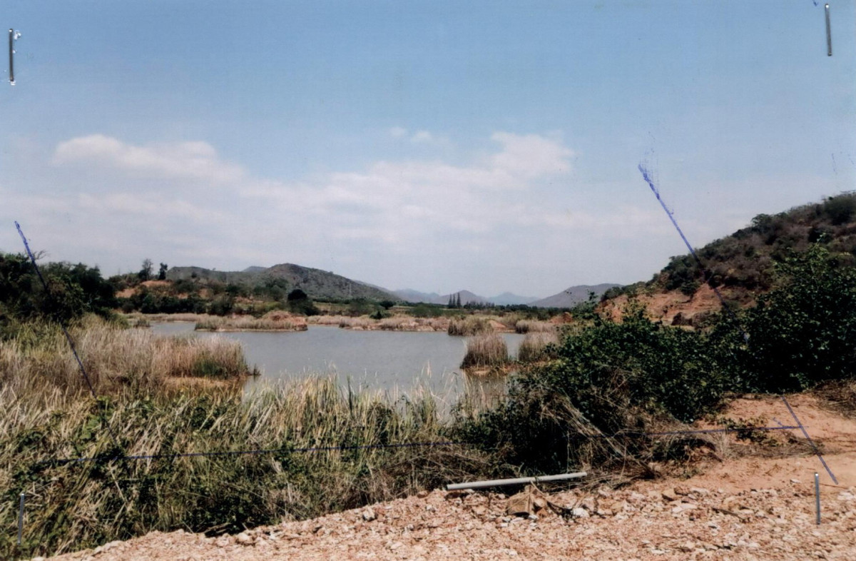 ที่ดินเปล่า ประจวบคีรีขันธ์ กุยบุรี สามกระทาย 286000