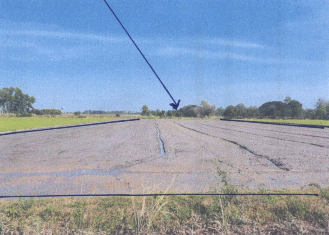 ที่ดินเปล่า พิจิตร เมืองพิจิตร ดงกลาง 220987