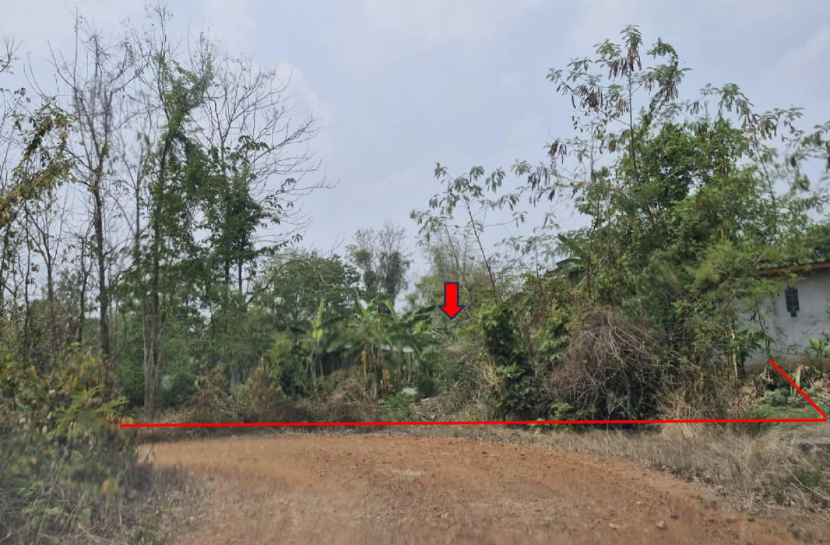 ที่ดินเปล่า เพชรบูรณ์ หนองไผ่ บ้านโภชน์ 46800