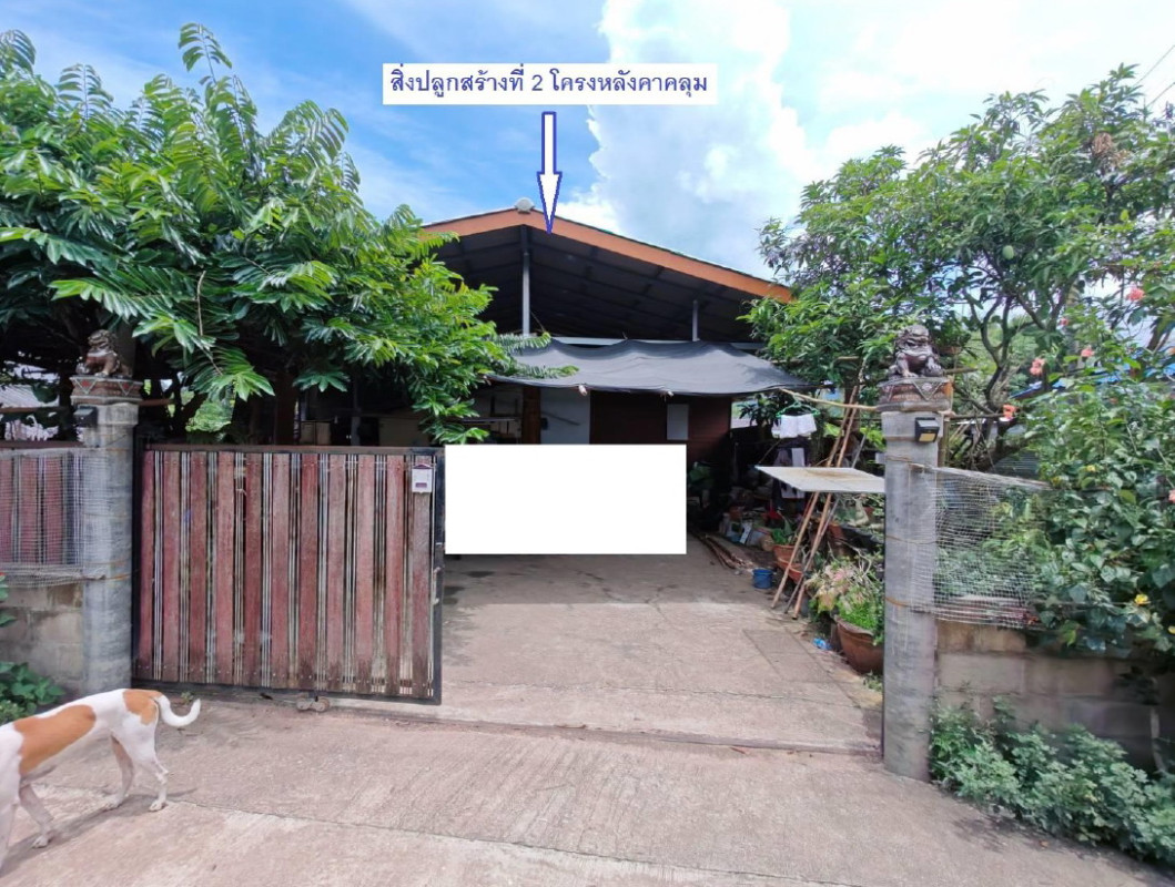 บ้านเดี่ยว พะเยา ดอกคำใต้ บ้านถ้ำ 395834