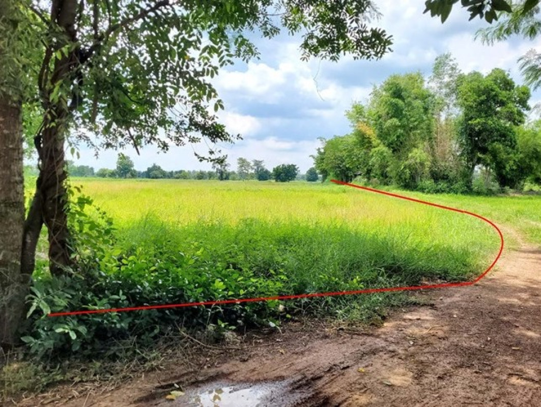 ที่ดินเปล่า มหาสารคาม เชียงยืน นาทอง 513000