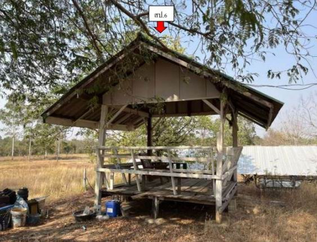 บ้านเดี่ยว ชัยภูมิ แก้งคร้อ หนองไผ่ 5313704