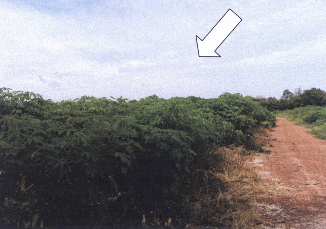 Residential land/lot Kamphaeng Phet Khanu Woralaksaburi Wang Chaphlu 1015853