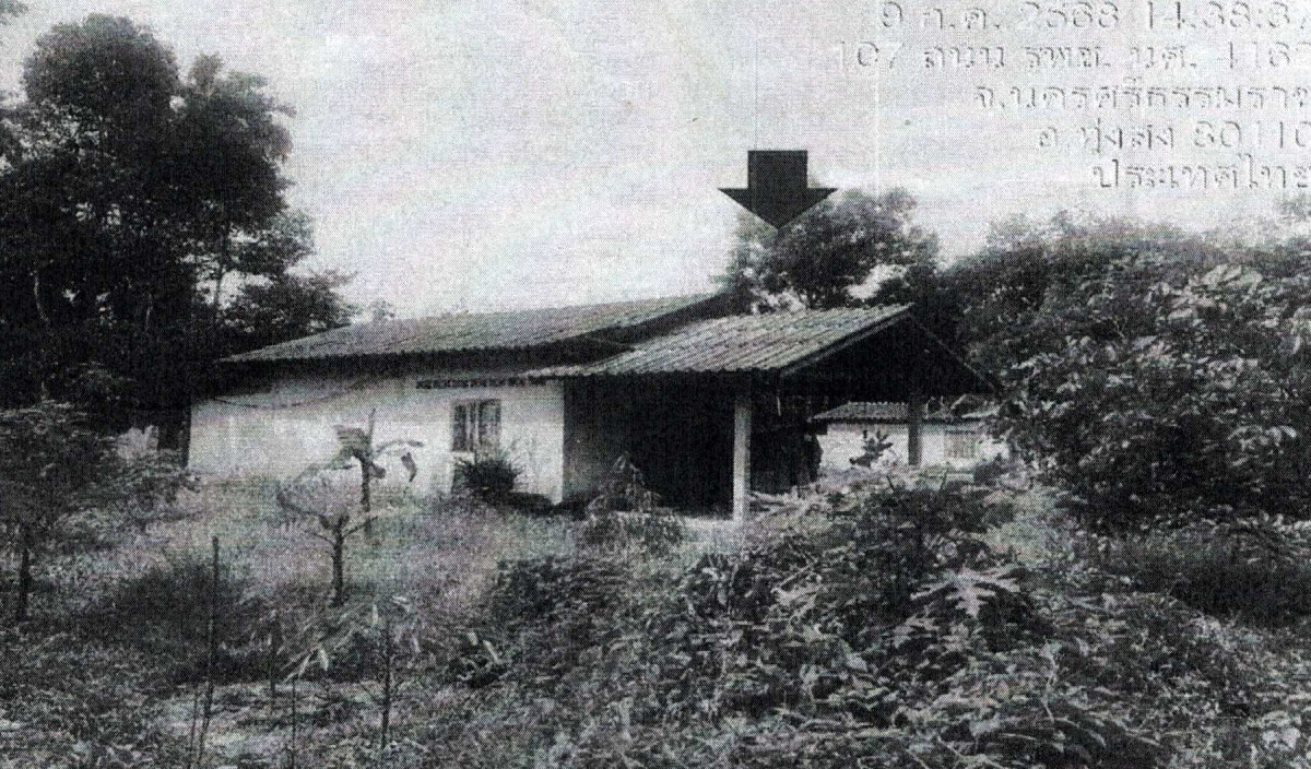 บ้านเดี่ยว นครศรีธรรมราช ทุ่งสง หนองหงส์ 293790