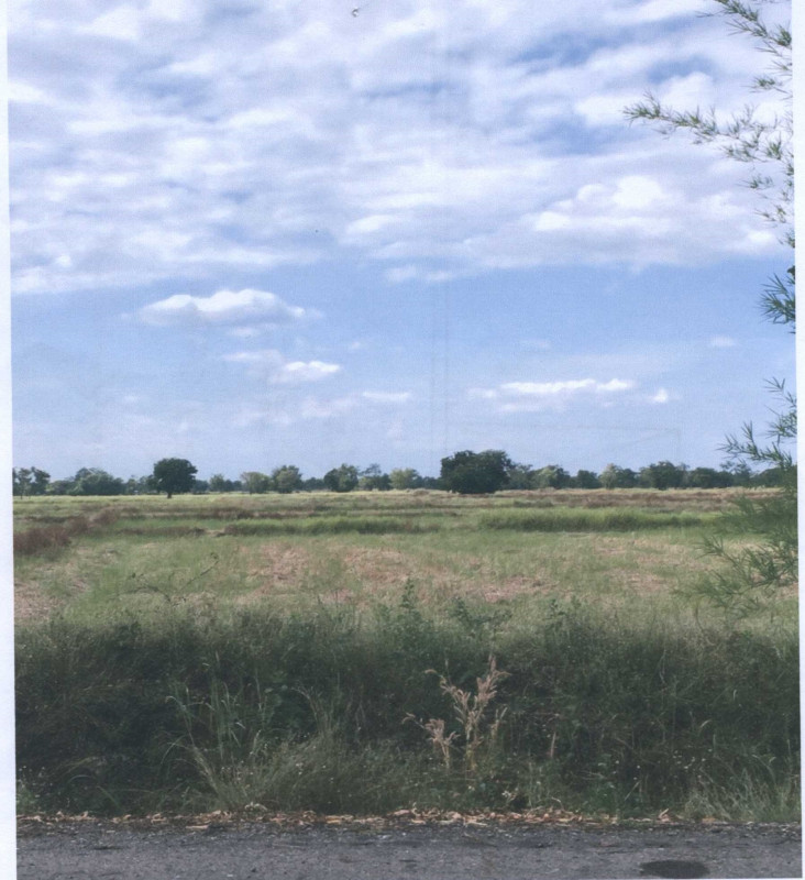 ที่ดินเปล่า พิจิตร ทับคล้อ ท้ายทุ่ง 1300000