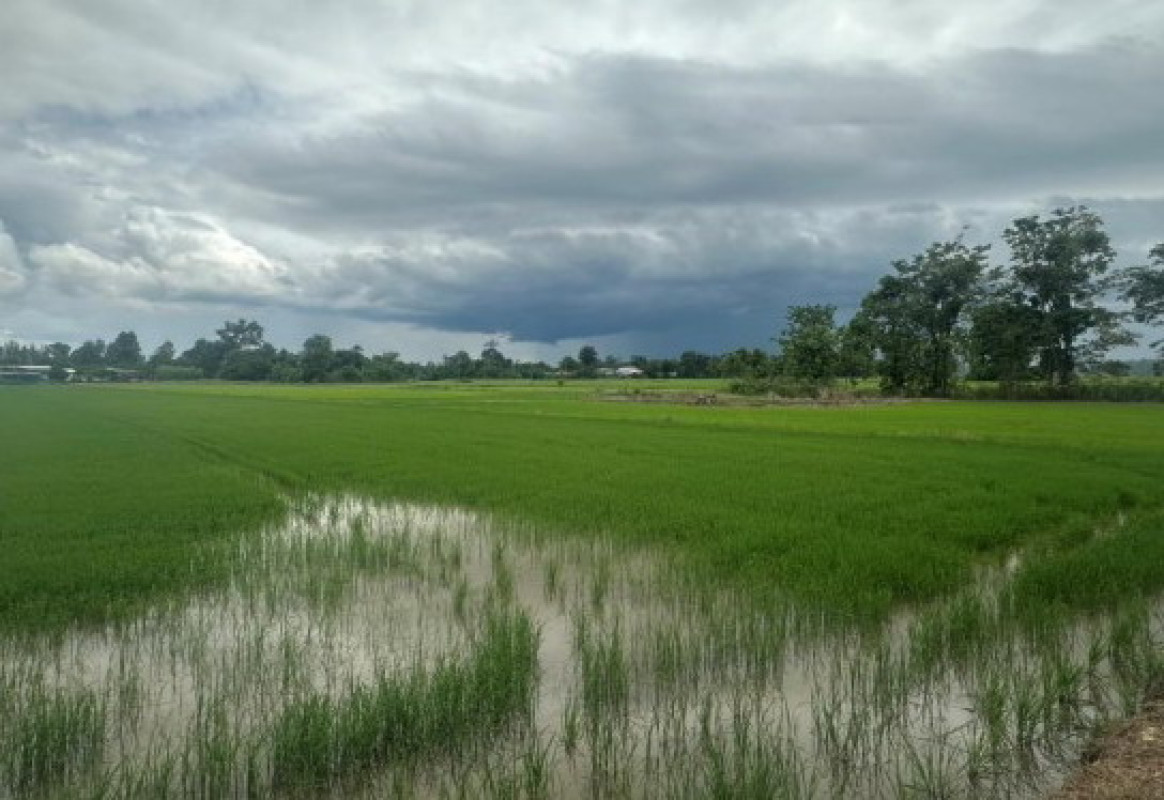 ที่ดินเปล่า กำแพงเพชร ปางศิลาทอง โพธิ์ทอง 73580