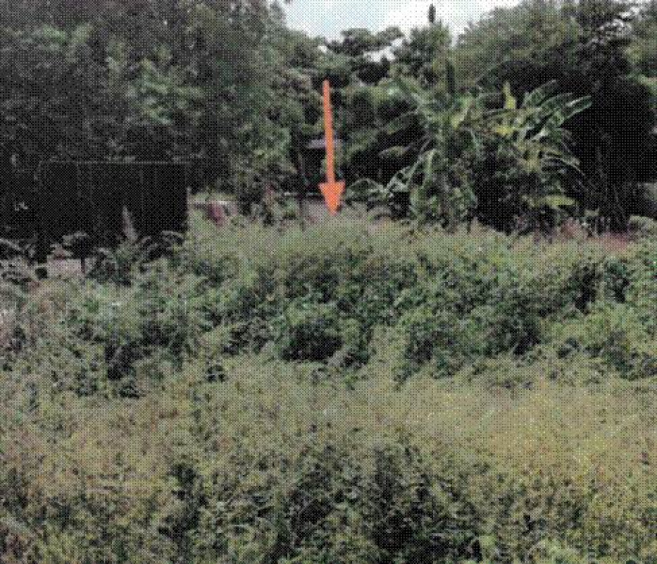 ที่ดินเปล่า ลพบุรี ลำสนธิ กุดตาเพชร 3350